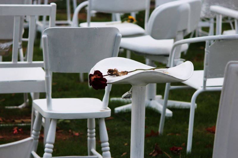 A photograph of a flower laid on a painted chair in the &#x27;185 Empty Chairs&#x27; memorial installation.